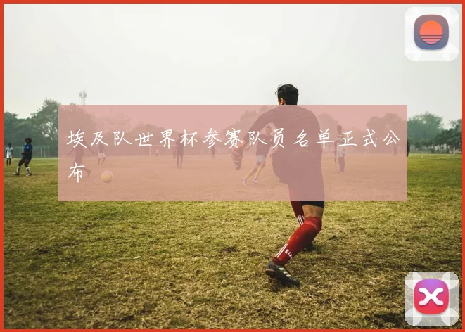 埃及队世界杯参赛队员名单正式公布
