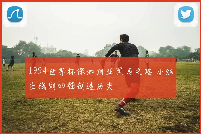 1994世界杯保加利亚黑马之路 小组出线到四强创造历史