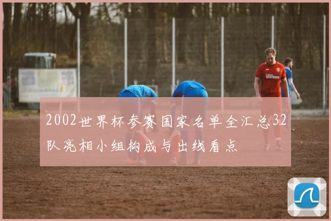 2002世界杯参赛国家名单全汇总32队亮相小组构成与出线看点